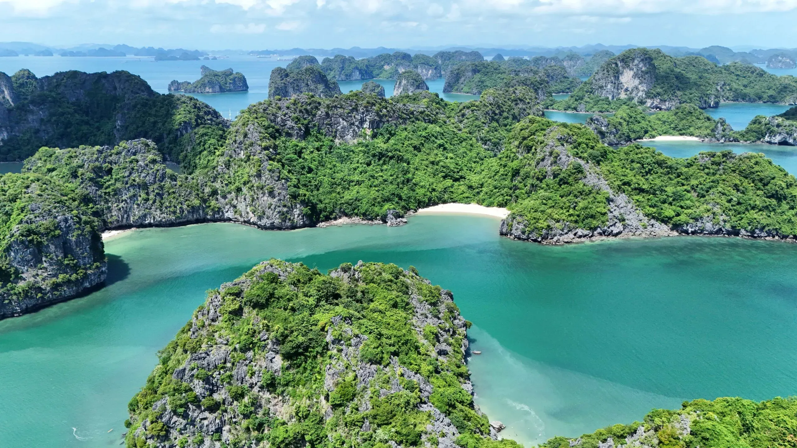 Pristine limestone karsts of Bai Tu Long Bay northeastern Bali