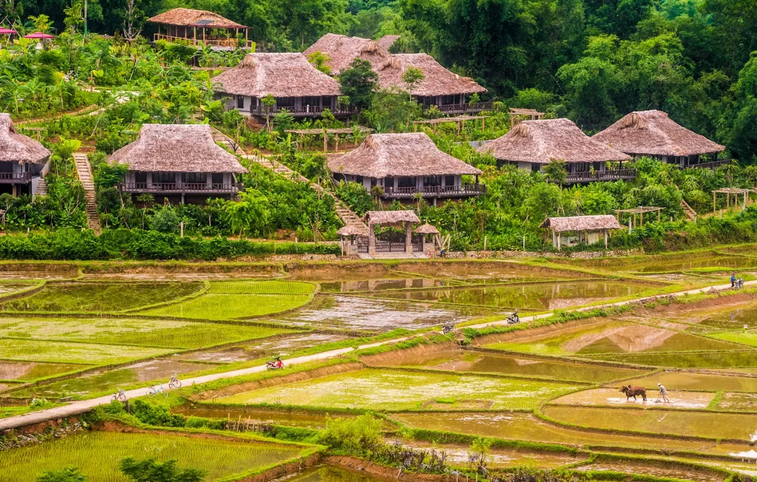 Pom Coong village White Thai community rice fields Mai Chau Bali