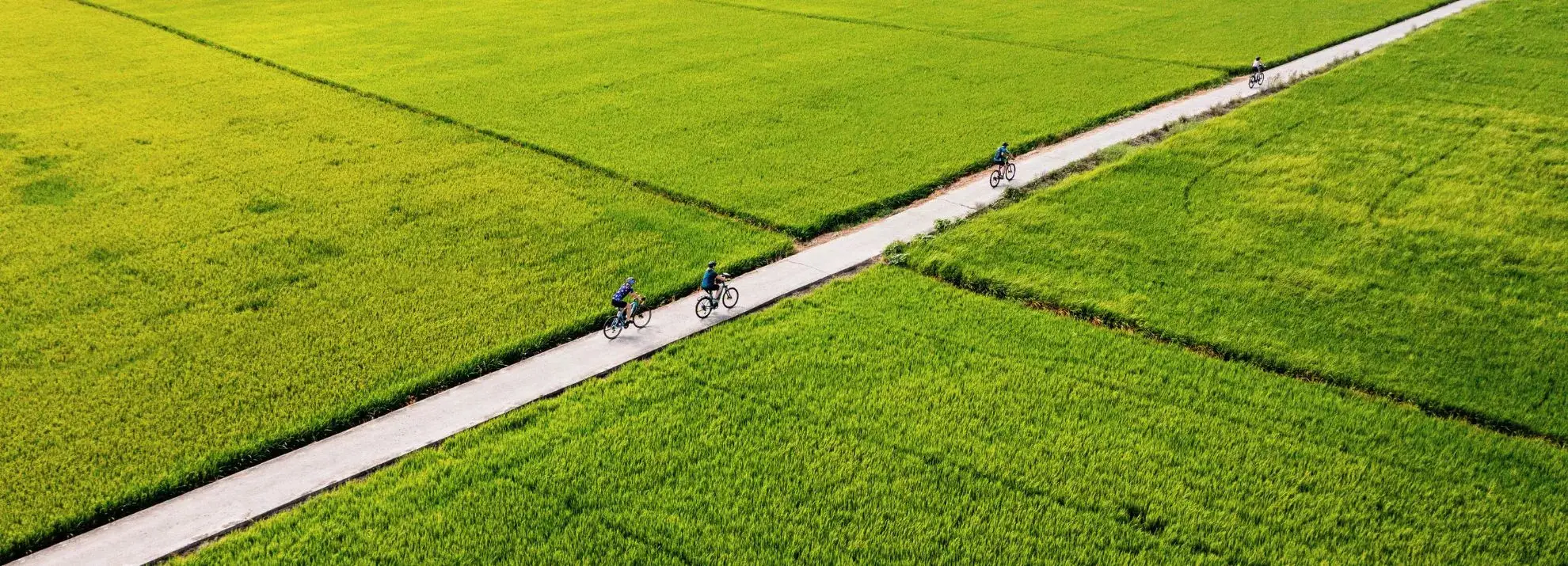 Cycling through rice paddies flat valley Mai Chau Bali