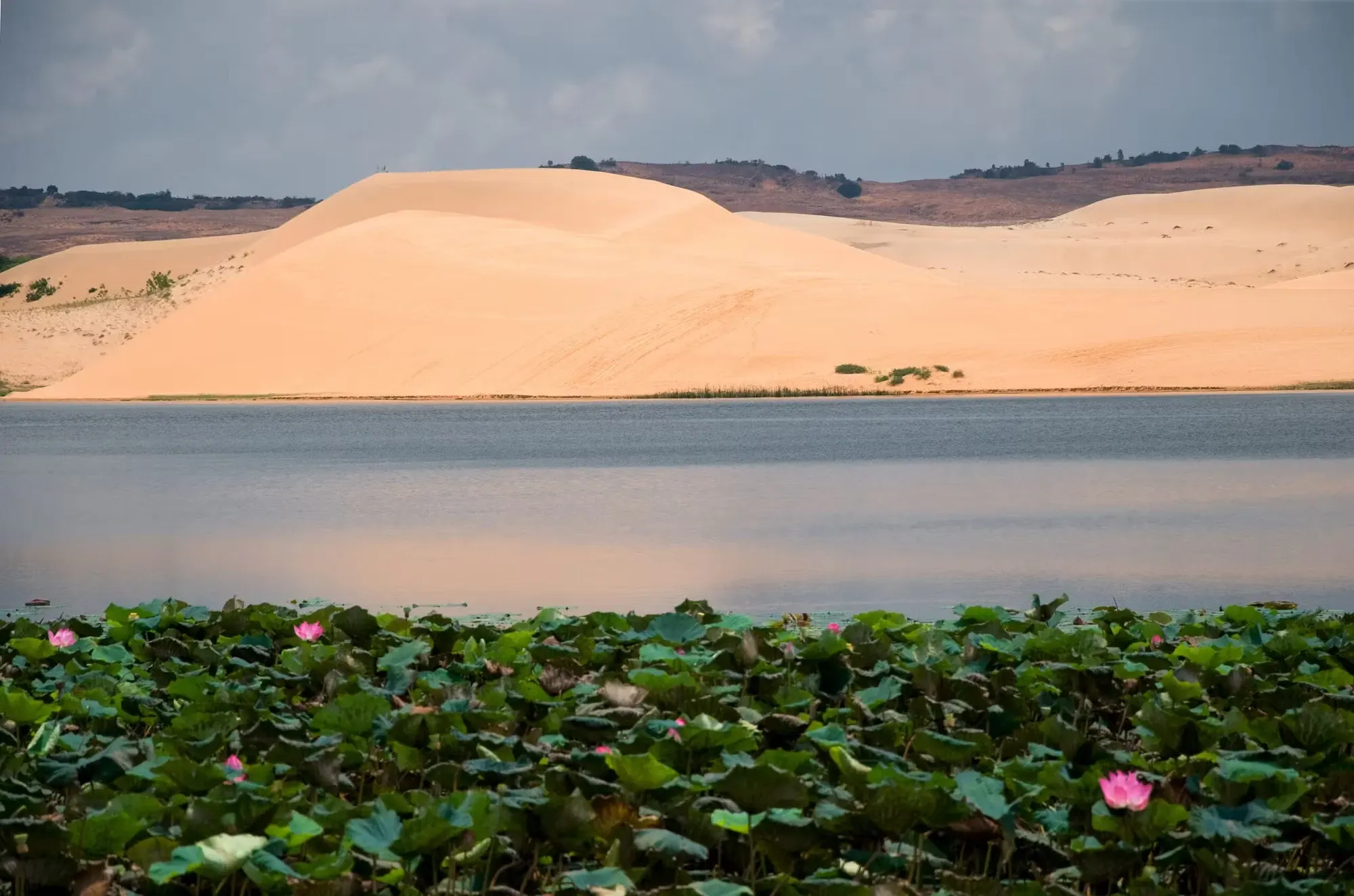 Lotus Lake Bau Trang freshwater lake white dunes Mui Ne Bali