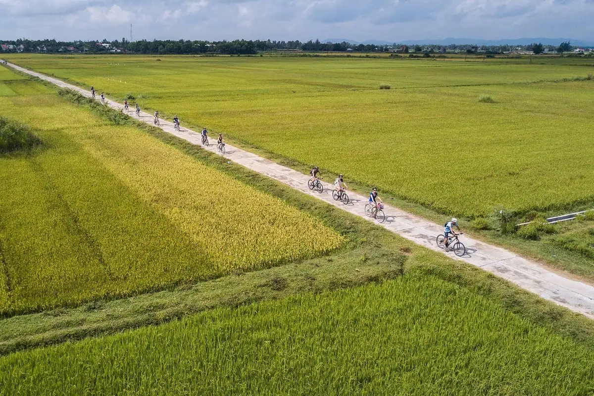 Cycling through rice paddies with karst peaks Ninh Binh Bali