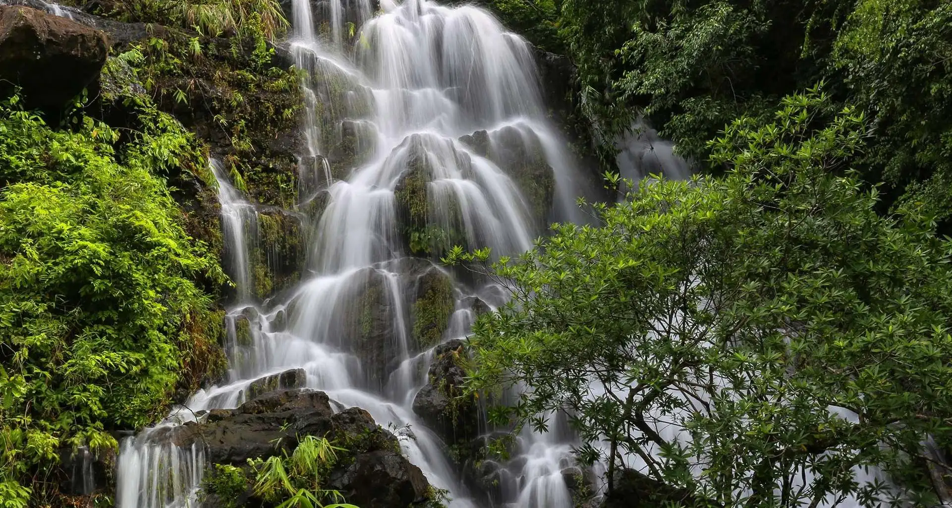 Phong Nha Botanic Garden wildlife rescue centre waterfall Bali