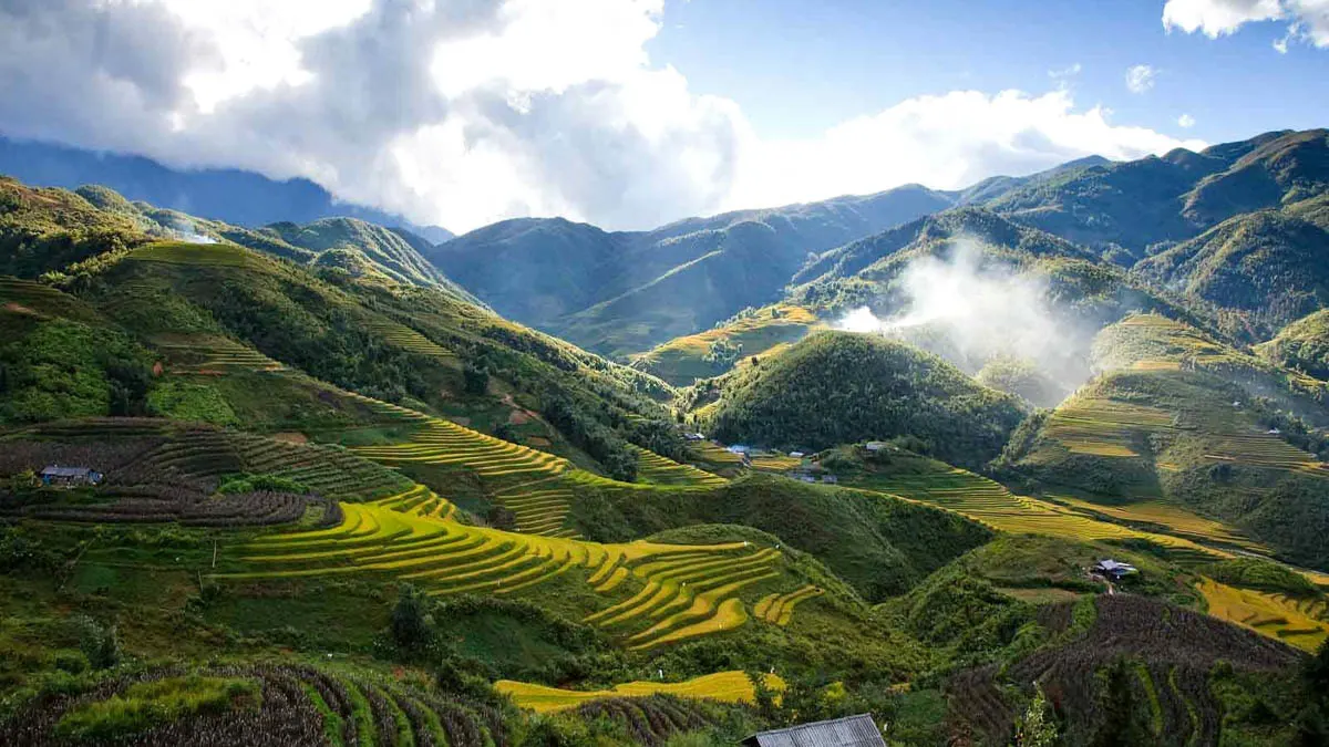 Muong Hoa Valley rice terraces and karst peaks Sapa Bali