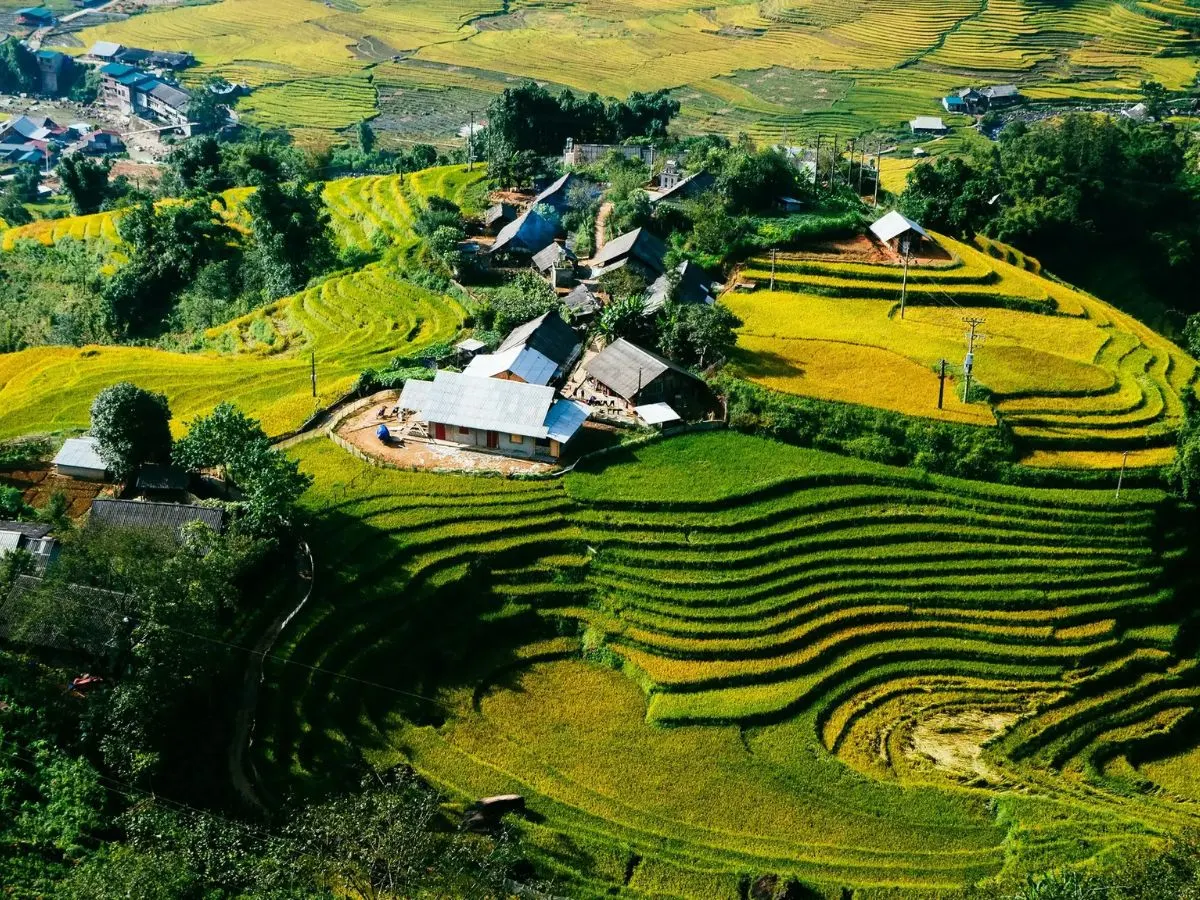 Ta Van Giay ethnic village homestay with rice terrace views Sapa Bali