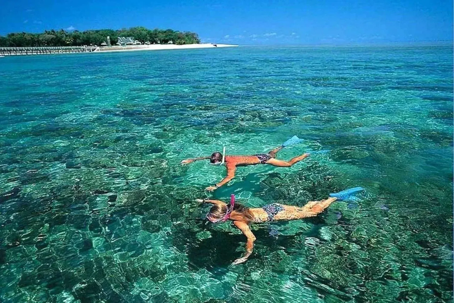 Cham Islands snorkeling