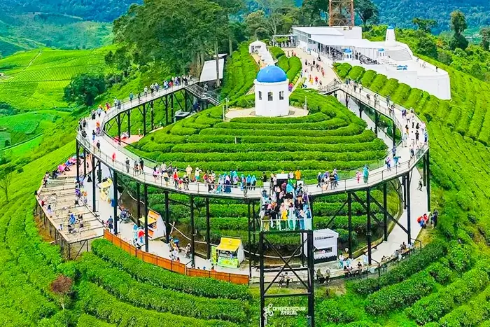 Bandung highlands, tea plantations and volcanoes, West Java