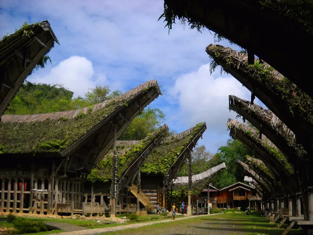 Tana Toraja traditional Tongkonan houses, Sulawesi