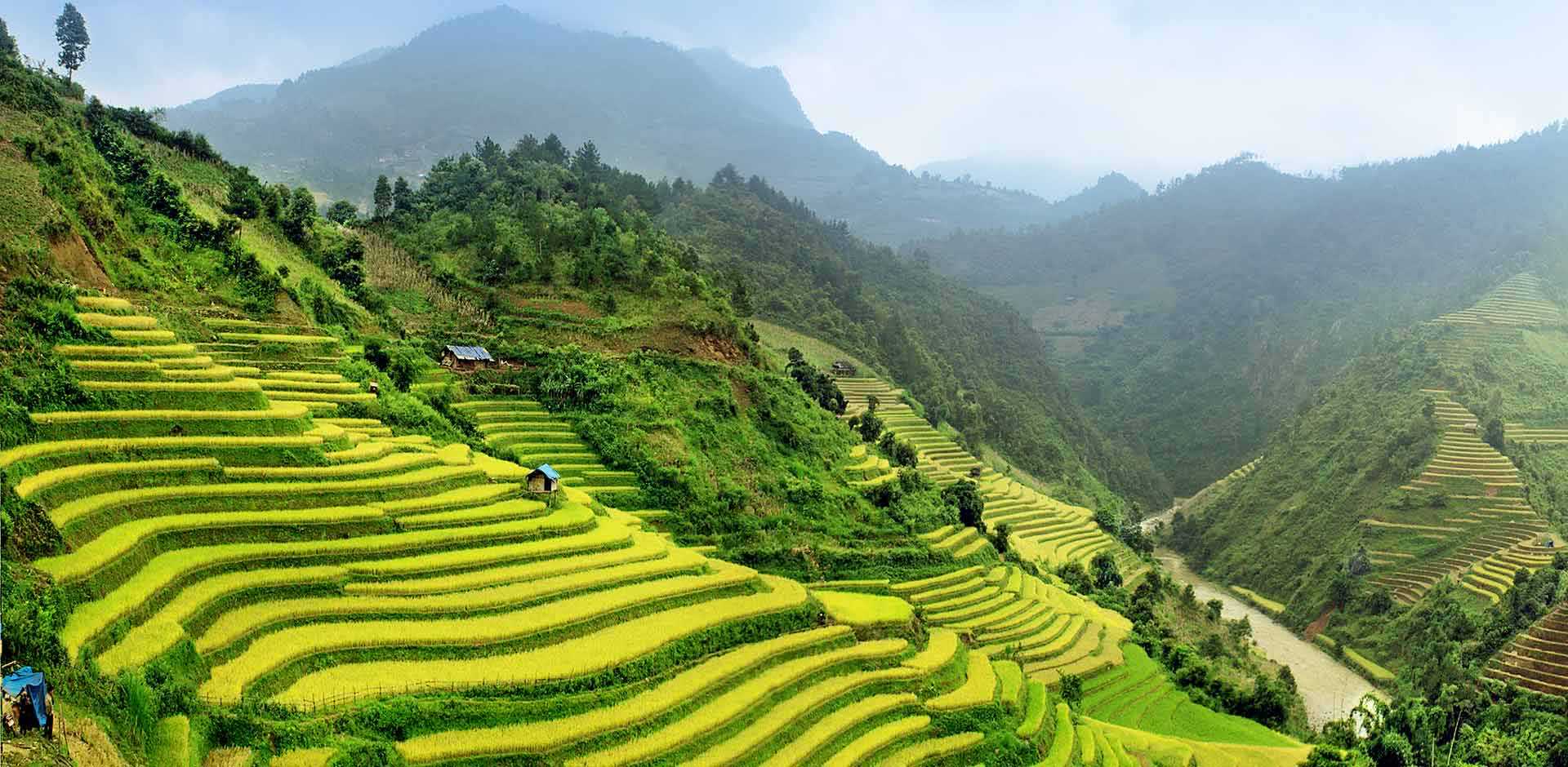 Sapa Bali