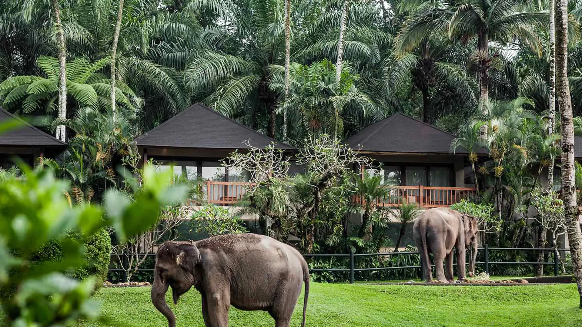 Ultimate Bali: Ubud, Safari Lodge & Kuta